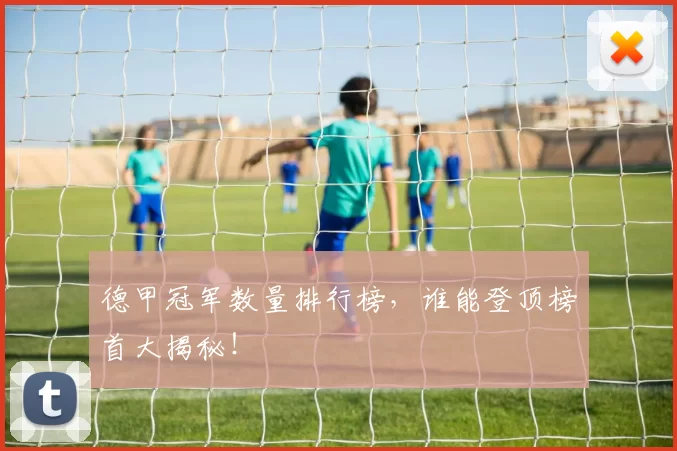 德甲冠军数量排行榜，谁能登顶榜首大揭秘！