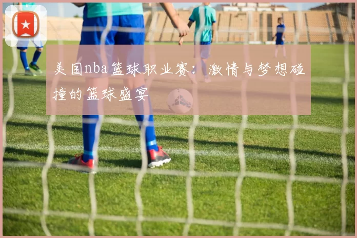 美国nba篮球职业赛：激情与梦想碰撞的篮球盛宴