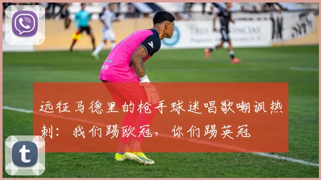 远征马德里的枪手球迷唱歌嘲讽热刺：我们踢欧冠，你们踢英冠