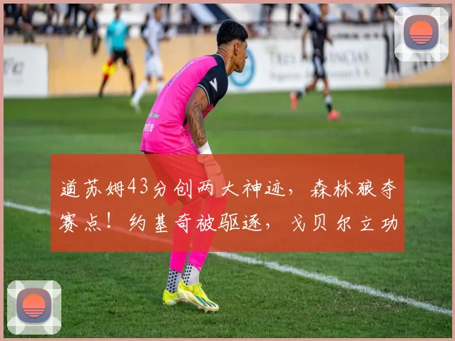 道苏姆43分创两大神迹，森林狼夺赛点！约基奇被驱逐，戈贝尔立功