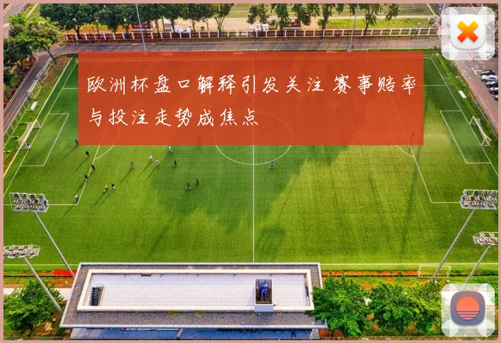 欧洲杯盘口解释引发关注 赛事赔率与投注走势成焦点