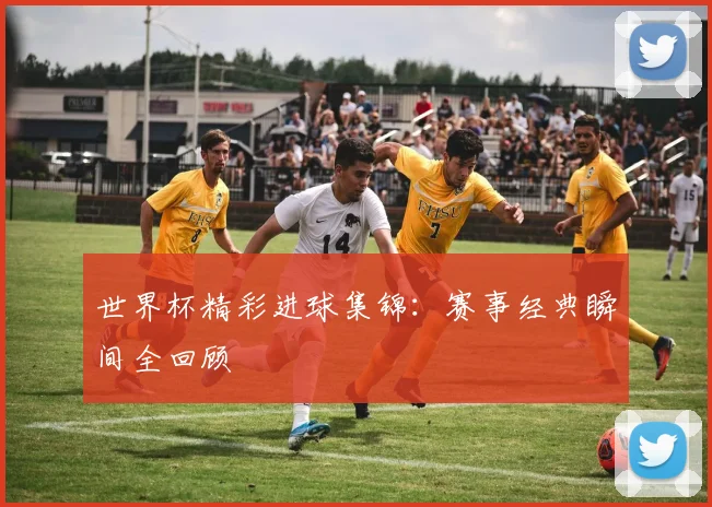 世界杯精彩进球集锦:赛事经典瞬间全回顾