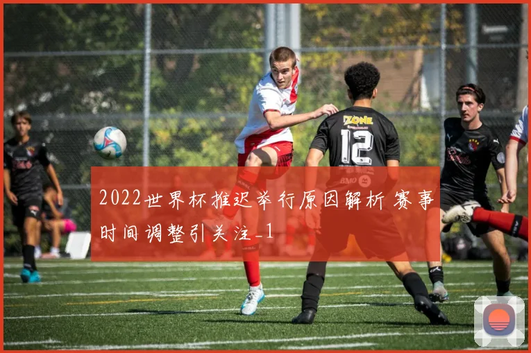 2022世界杯推迟举行原因解析 赛事时间调整引关注_1