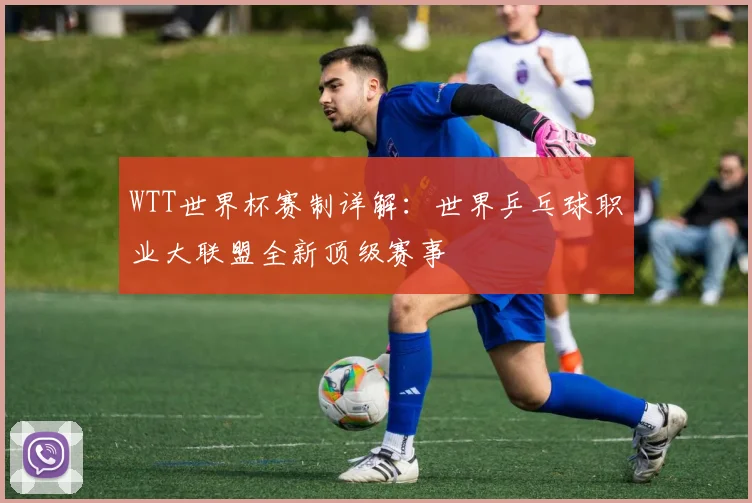 WTT世界杯赛制详解:世界乒乓球职业大联盟全新顶级赛事