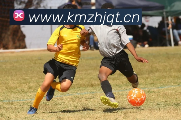 Kaiyun - 中国(官方网站) - 国家认证服务平台服务体系